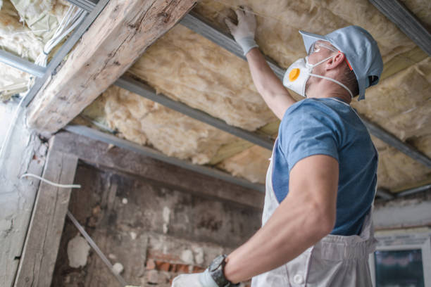 Best Insulation Contractors for Homes  in Lafayette, GA