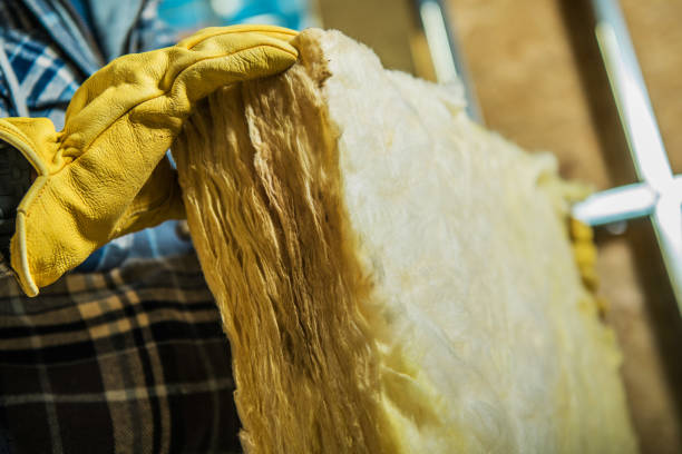 Best Insulation Repair Services  in Lafayette, GA