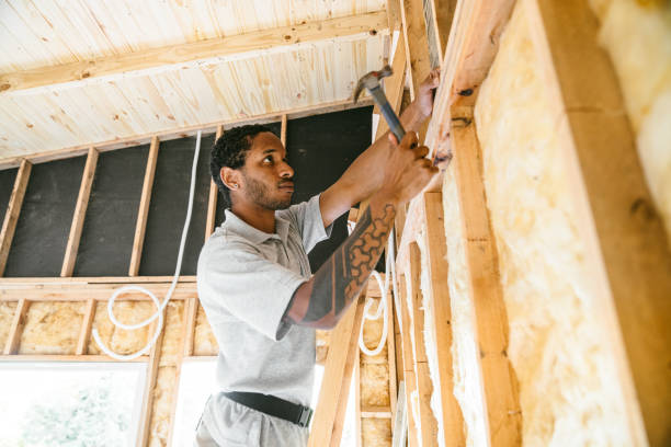 Best Insulation Removal  in Lafayette, GA