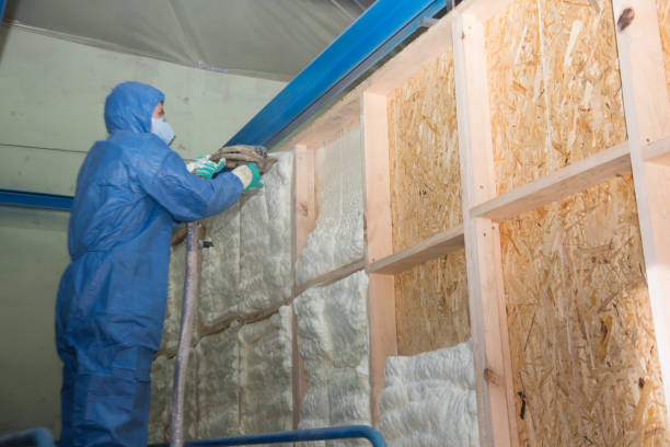 Best Spray Foam Insulation  in Lafayette, GA