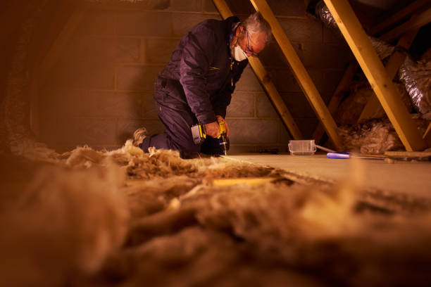 Best Insulation for New Construction  in Lafayette, GA